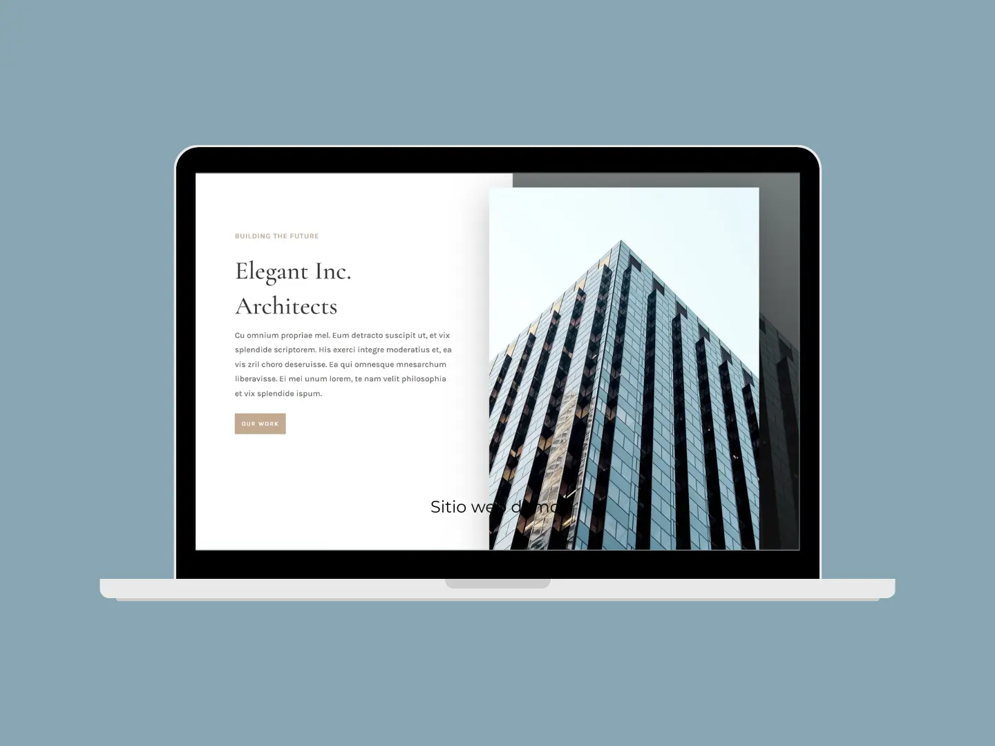 Sitio web demo - Trueque Web (2)