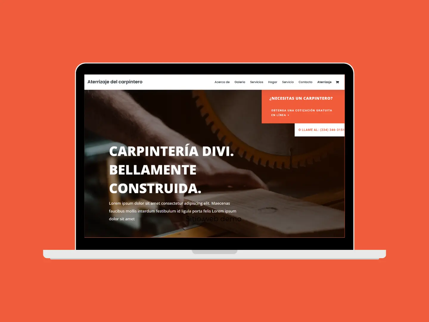 Sitio web demo - Trueque Web (3)